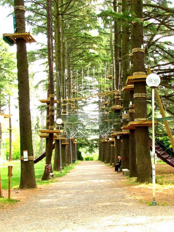 Park Hotel Salice Terme - Oltrepo Pavese - מראה חיצוני תמונה